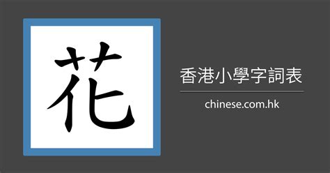 肺筆劃|「肺」字的筆順、筆劃及部首